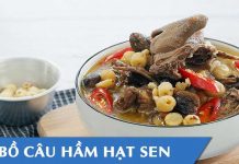Cách chế biến bồ câu hầm hạt sen thơm ngon tại nhà Cách chế biến bồ câu hầm hạt sen thơm ngon tại nhà